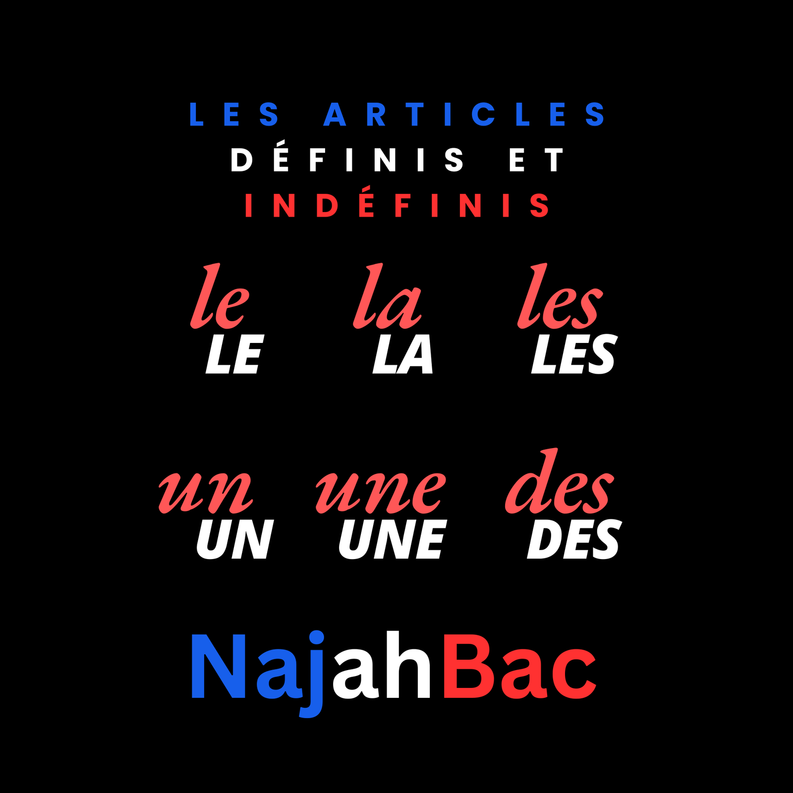 Les Articles Définis et Indéfinis
